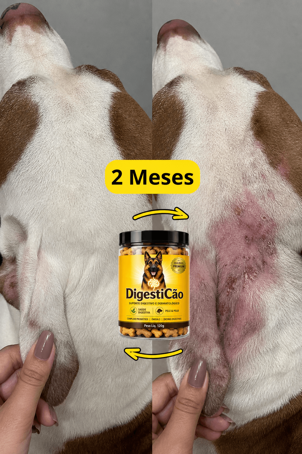 Antes e depois de 2 meses usando DigestiCão: pelagem recuperada na região do pescoço